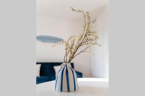 Apartamento Studio � Deux Pas Des Plages de Biscarrosse, Wifi