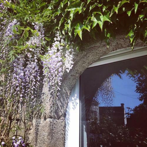 Walnut Tree Gite Brittany