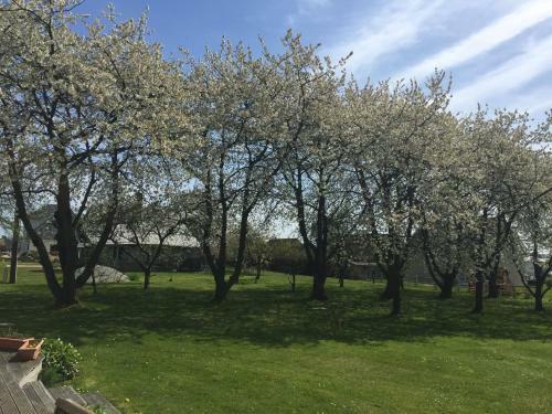 Bed & Breakfast Chambres D'h�tes Le Clos de La Bertini�re