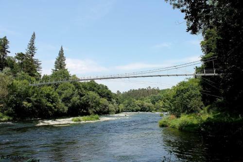 Hostal Albergue Pensi�n Flavia