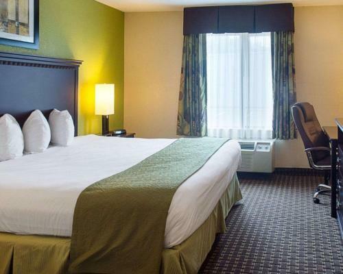 Hotel Quality Inn & Suites Quantico