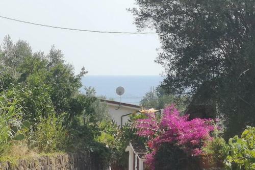 Villa Cilento Mare, Bellissima Con Ampio Giardino