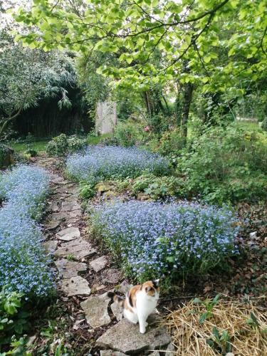 Le Domaine Des Jardins de Bracquetuit