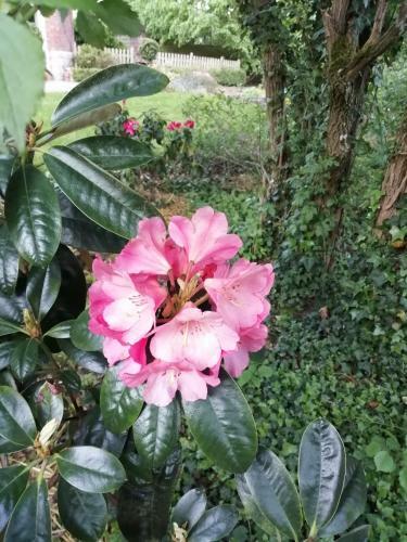 Le Domaine Des Jardins de Bracquetuit