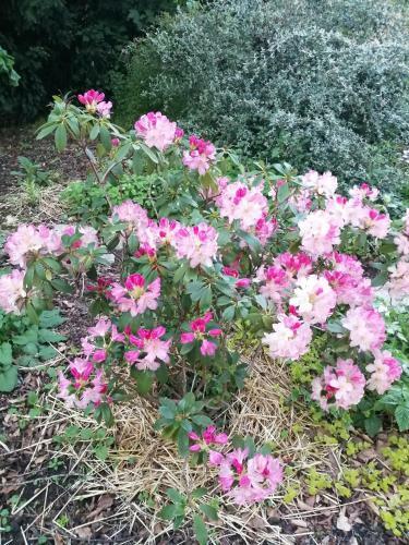 Le Domaine Des Jardins de Bracquetuit