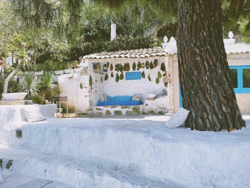 Bed & Breakfast La Casa Del Nespolo