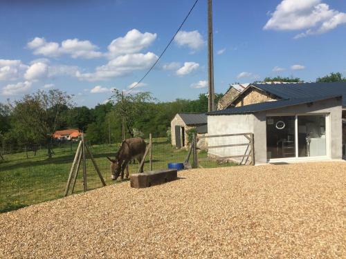 Camping de La Ferme Aux �nesses, Mobil Home Myrtille