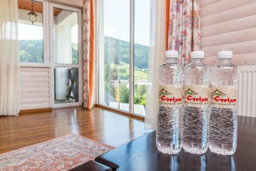 Hotel Pid Strihoju