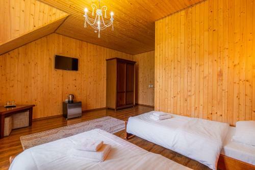 Hotel Pid Strihoju