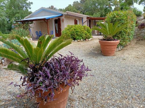 Apartamento Villa Capoperla