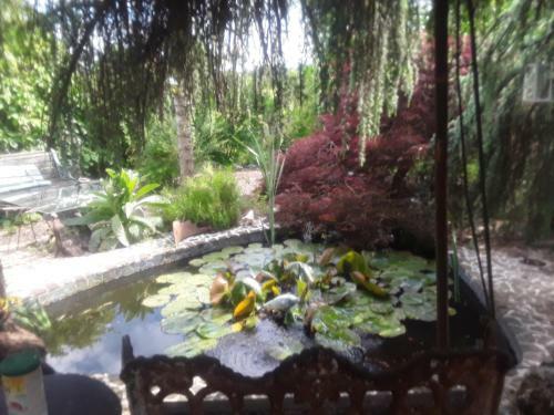 Bed & Breakfast Touch Of Spain In Rural France