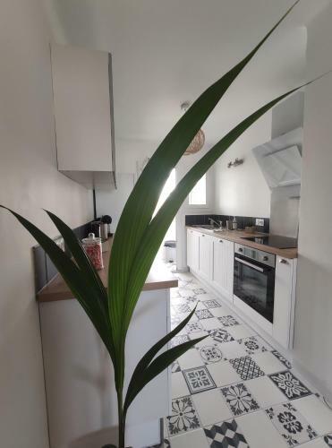 Apartamento Les Clapotis, Parenth�se Confortable Bord de Mer