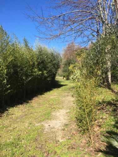 Agroturismo Villa Nibbio Nebrodi