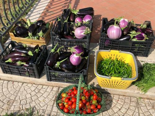 Bed & Breakfast Il Giardino Di Nonno Agostino