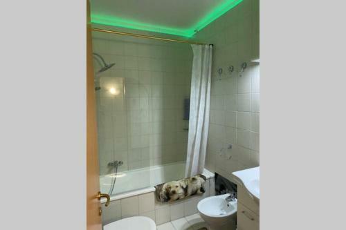 Apartamento 10 Minuti Dal Lago Di Garda E Da Gardaland
