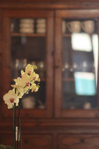 B&B La Taccola