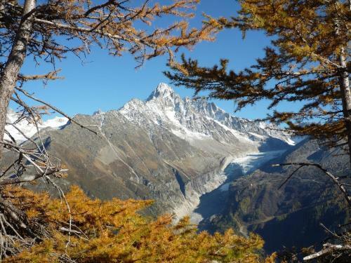 Apartamento Studio Plein Sud. Vall�e de Chamonix. Pieds de Pistes.