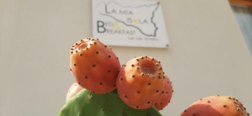 B&B La Mia Isola