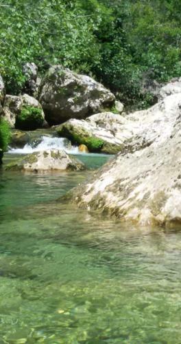 Bed & Breakfast La Salamandre En Provence