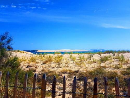 Apartamento Location de Vacances Bassin Arcachon