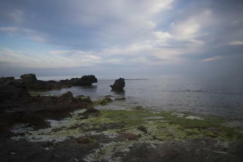 Case Cala Bucerno