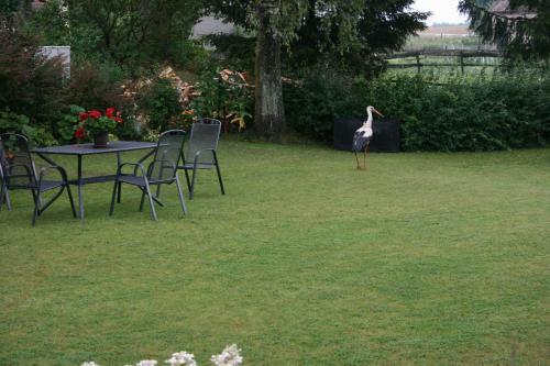 Bed & Breakfast Zielone Okiennice