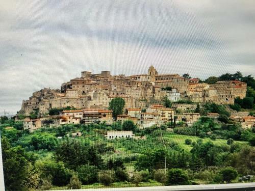 Castiglione Apartament You&me