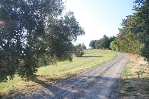 Bed & Breakfast Il Gelso Country House