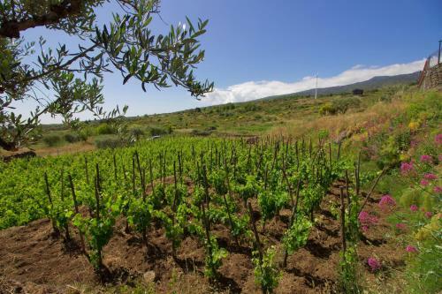 Agroturismo Etna Country House