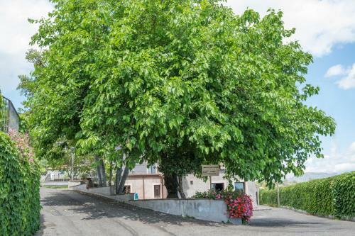 Hotel Santoro Country House