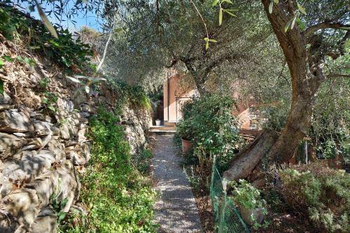 Apartamento Immerso Nel Verde