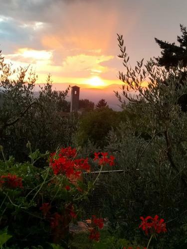 Apartamento La Casetta Di Campagna