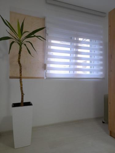 Apartamento Belgrade Center Lux