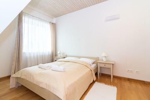 -v66- Apartment, By Cohost