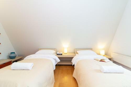 -v66- Apartment, By Cohost