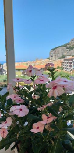 Apartamento Maison Marianna