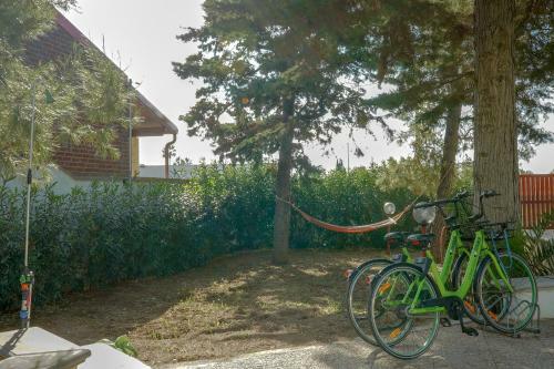 Apartamento Casa Vacanza La Terra Dei Venti