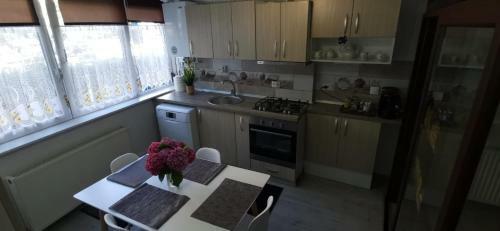 Ana Lux Apartments Brasov