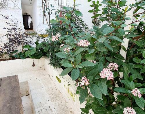 Beautiful Garden Apartment In Cisternino