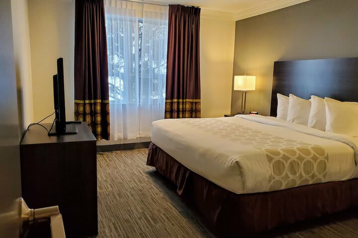 Hotel Econo Lodge South Calgary