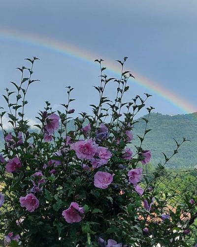 Hostal Casa Arcobaleno