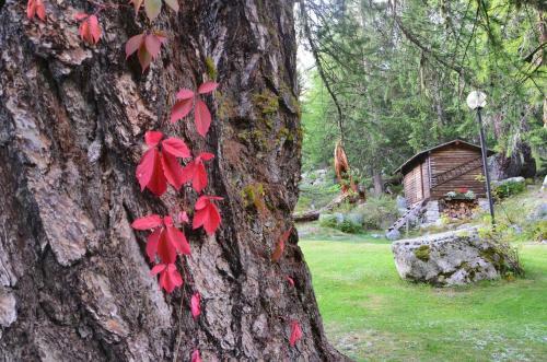 Apartamento Chalet Svizzero Val Ferret
