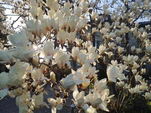 Bed & Breakfast Tetto Alle Rondini
