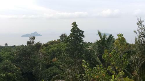 Hostal Dusitbungalow