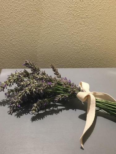 Apartamento Casina Bella