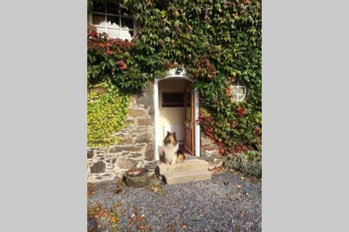 Apartamento The Byre (Unusual And Different).