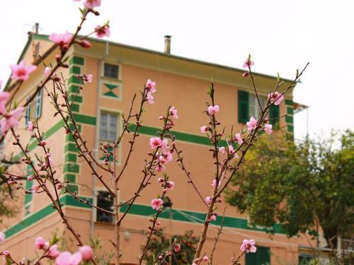 Apartamento Appartamento Di Prestigio- C� Da Lina - Deiva Marina