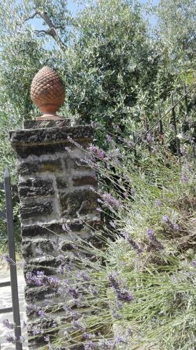 Apartamento Casina Di Vicchio