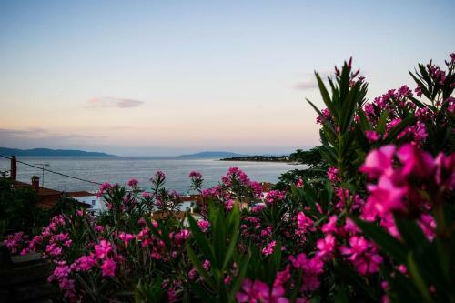 Luxury Hilltop Villa 200m From The Beach