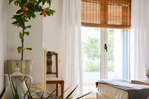 Luxury Hilltop Villa 200m From The Beach